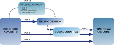 Exploring the Interplay Between Adversity, Neurocognition, Social Cognition, and Functional Outcome in People With Psychosis: A Narrative Review